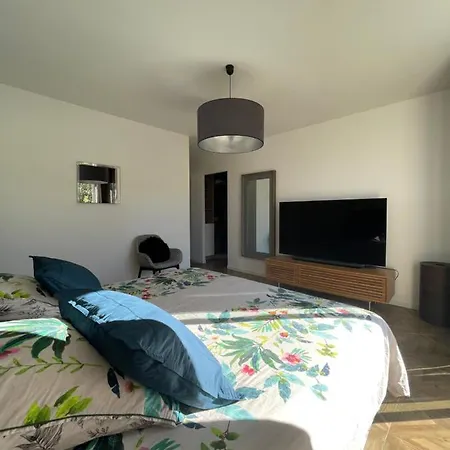 Magnifique Recente Entre Et Montagne Situee Entre Ajaccio Et Porticcio *