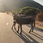 Magnifique Recente Entre Et Montagne Situee Entre Ajaccio Et Porticcio וילה